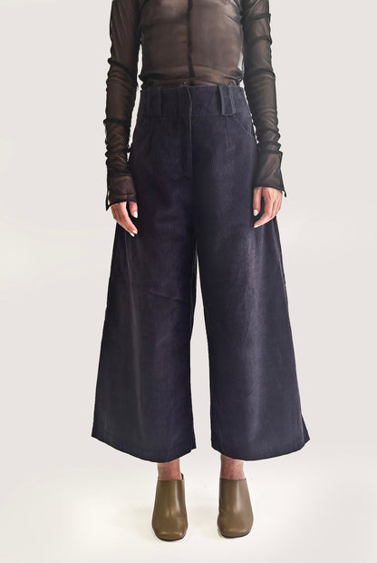 Velvet Blue Pants