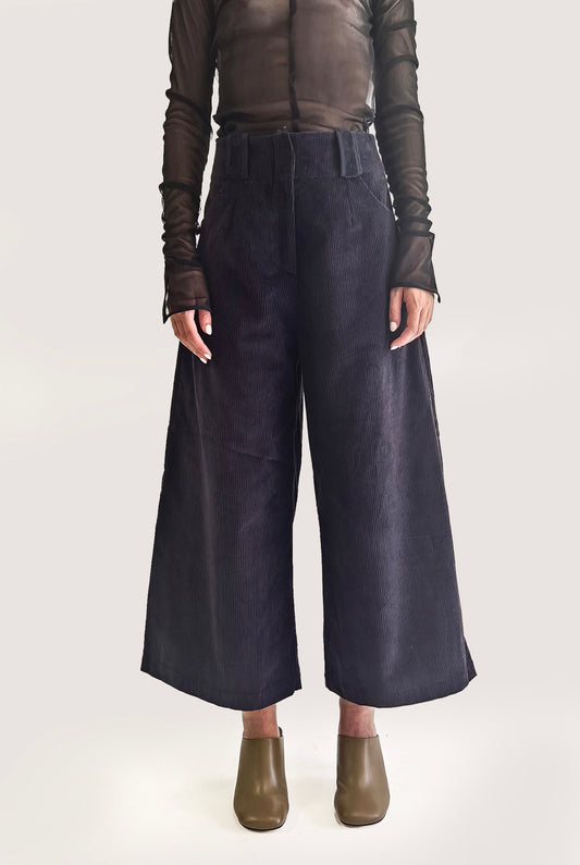 Velvet Blue Pants