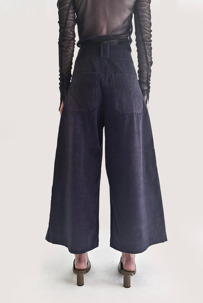 Velvet Blue Pants